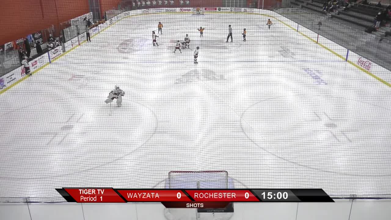 Squirt B - Wayzata vs. Rochester Gold: 1/31/26